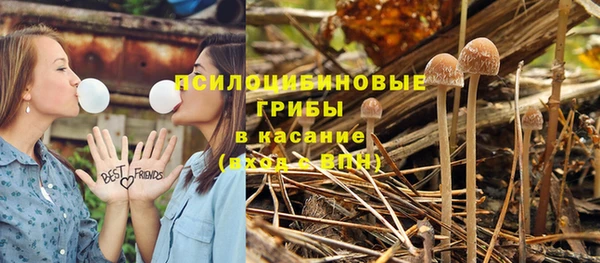 марки nbome Алзамай