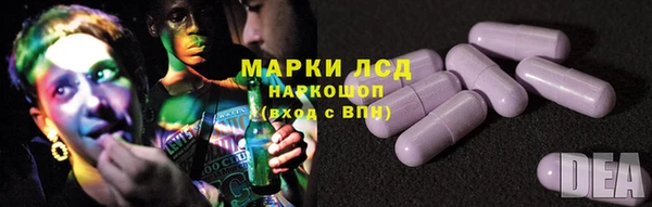 прущие грибы Абдулино