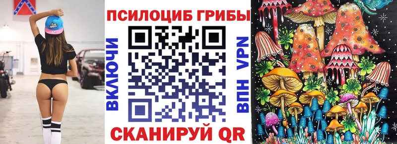 Псилоцибиновые грибы MAGIC MUSHROOMS  закладки  гидра ТОР  Тогучин 