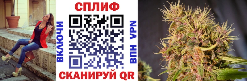 Бошки марихуана конопля  Тогучин 